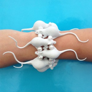 bracelet rat white 