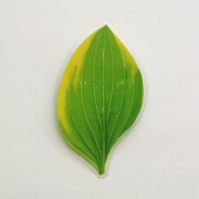 brooch  leaf small