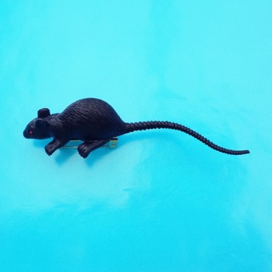 brooch rat black