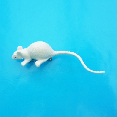 brooch rat white