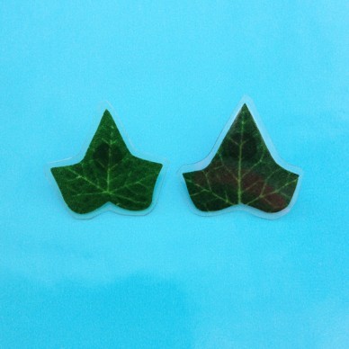 earing ivory