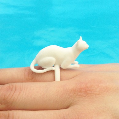 ring cat lying white