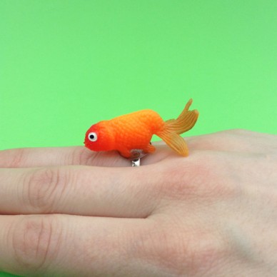 ring fish orangegreen