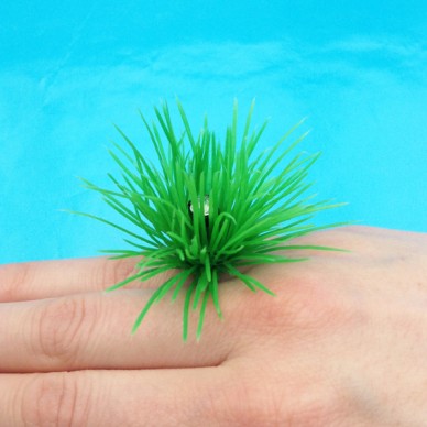ring grass fine