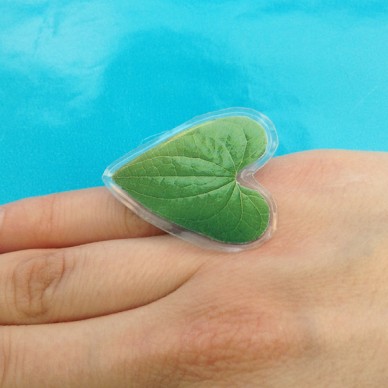ring  leaf green