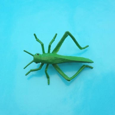 brooch grasshopper 72