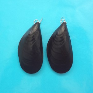 6 earring mussel 72