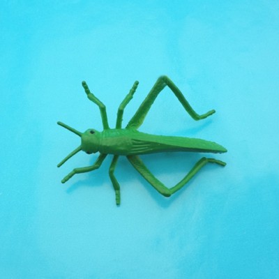 brooch grasshopper 72