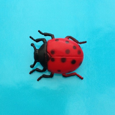 brooch ladybird 72