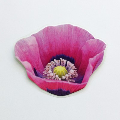 brooch lam pink poppy 72