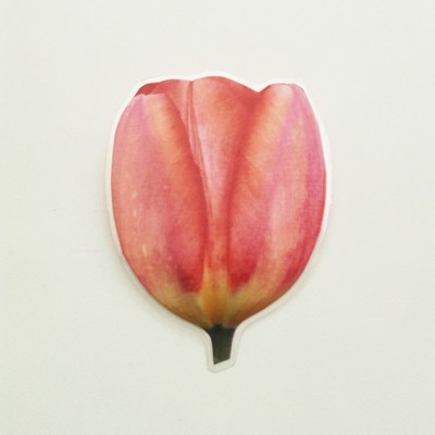 brooch lam tulip softpink 72