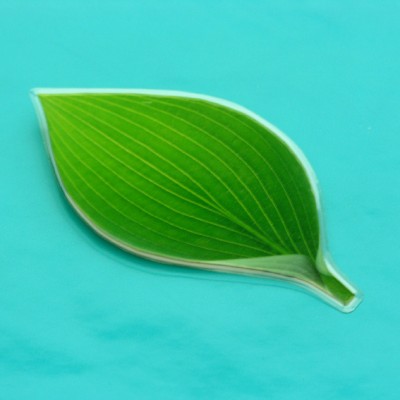 brooch leaf large 72