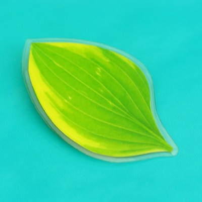 brooch leaf small 72