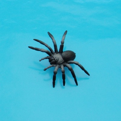 brooch spider large 72