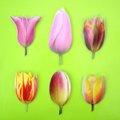 brooch tulip - broche tulp