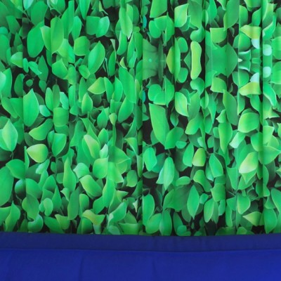 curtain leafs 72