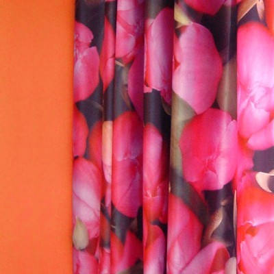 curtain tulips
