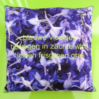 cushion delphinium 72 kopie