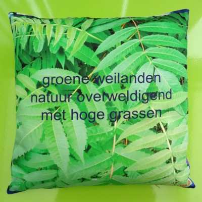 cushion leaves 72 kopie
