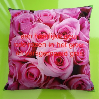 cushion roses pink 72 kopie