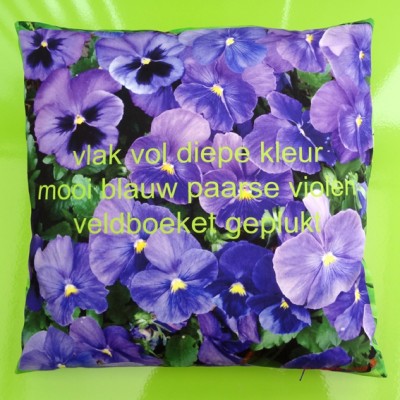 cushion violets 72 kopie