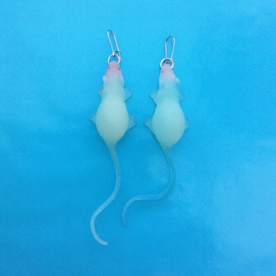 earring rat blue 72