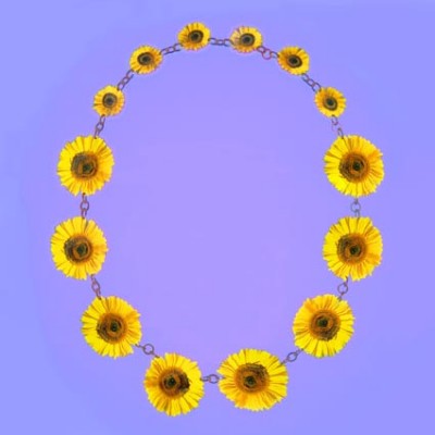 lam hals zonnebloem 1