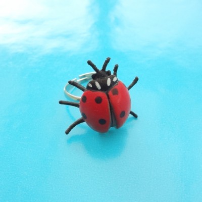 ring ladybird 72