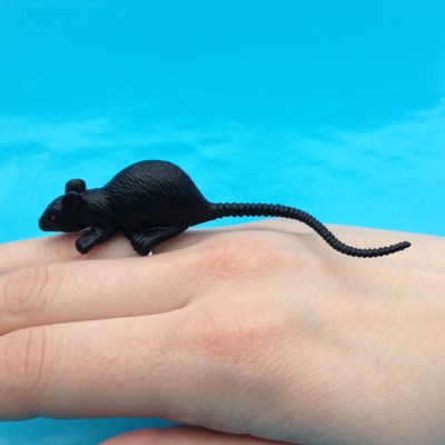 ring rat black finger  72