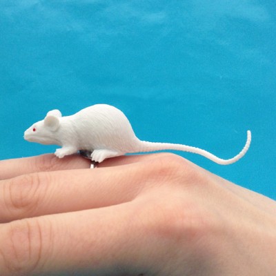 ring rat white finger 72