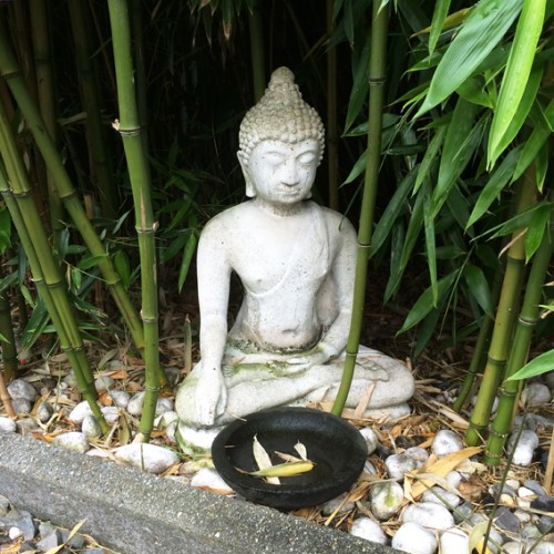 boeddha tuin 1 72
