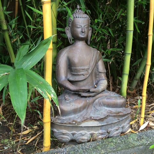 boeddha tuin 3 72