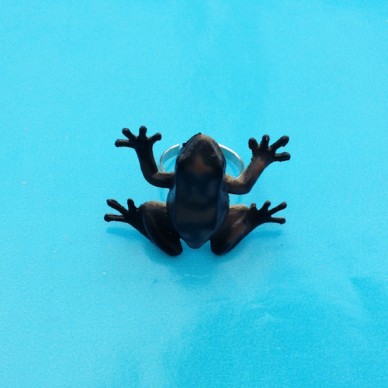 ring frog browndark 72