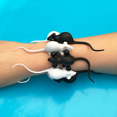 bracelet rat blackwhite ok 72
