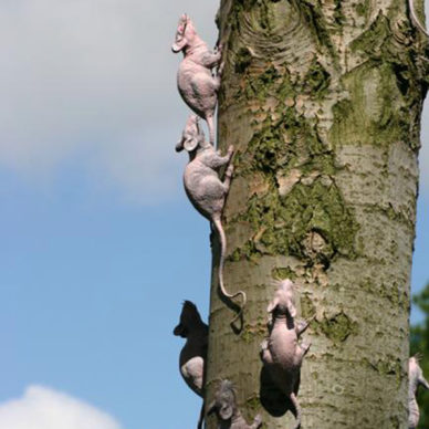2016 ratten boom roze 72