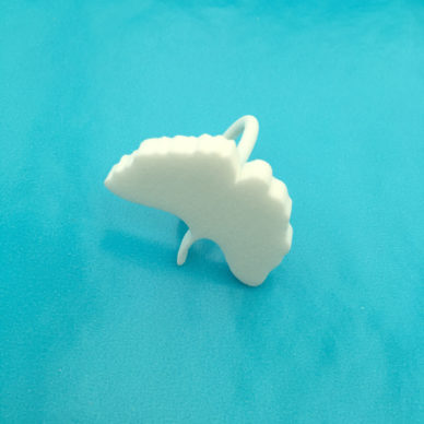 3d ring ginkgo biloba wit 72