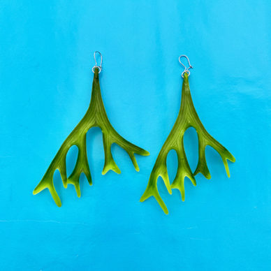 earring staghorn 72