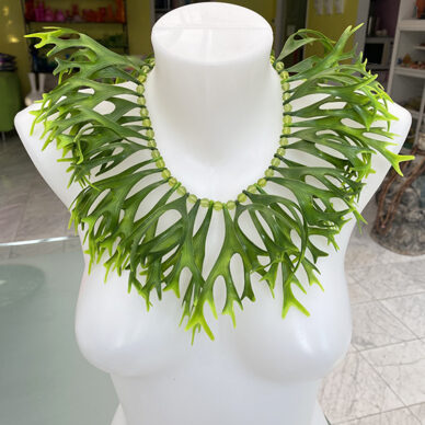 necklace staghorn 1 level 72